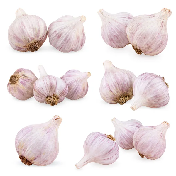 Set of purple garlics — Stock Photo, Image