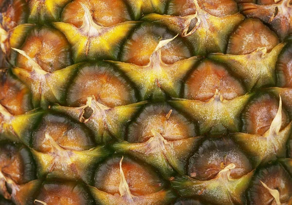 stock image Texture of pineapple