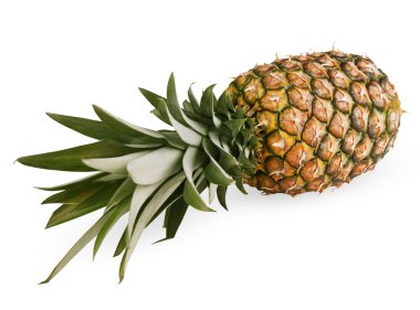 olgun ananas