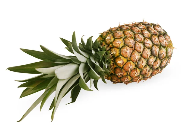 stock image Ripe pineapple