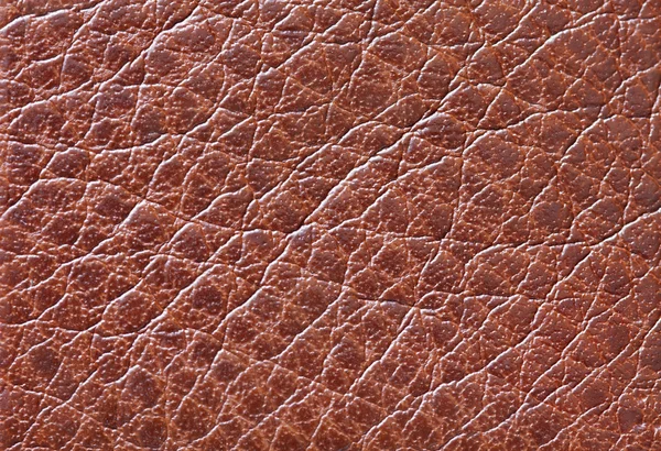 Texture in pelle marrone — Foto Stock