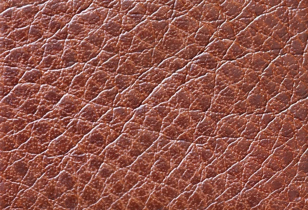 Texture cuir marron — Photo