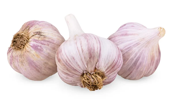 Three purple garlic — Stock Photo, Image