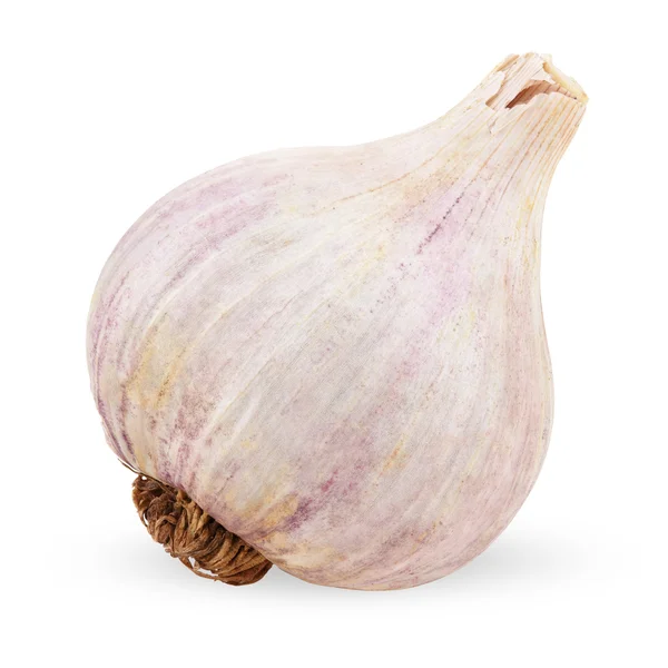 Garlic bulb isolated on white — Stock Photo, Image