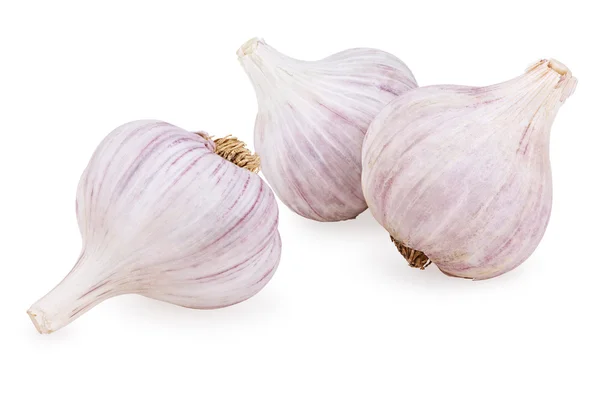 Three purple garlic — Stock Photo, Image