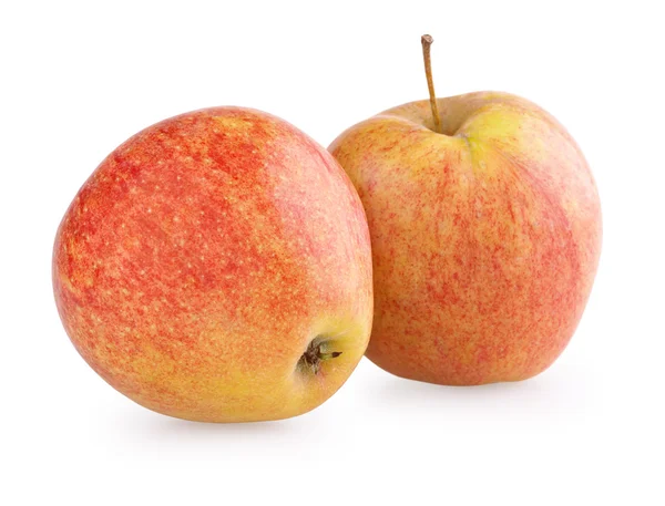 Iki sarı-kırmızı elma meyve — Stok fotoğraf