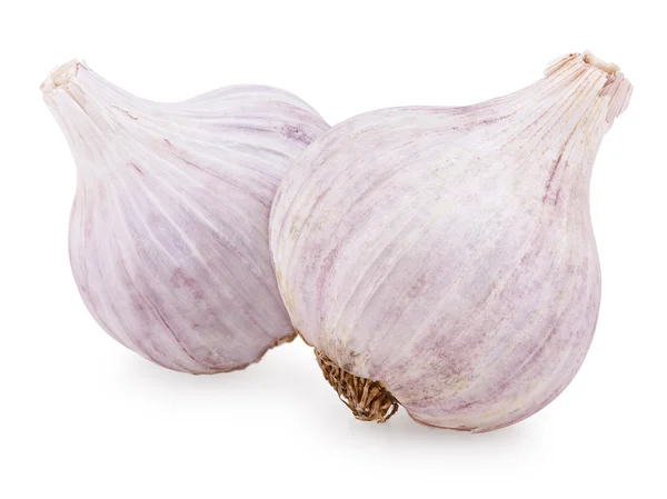Two purple garlic — Stock Photo, Image