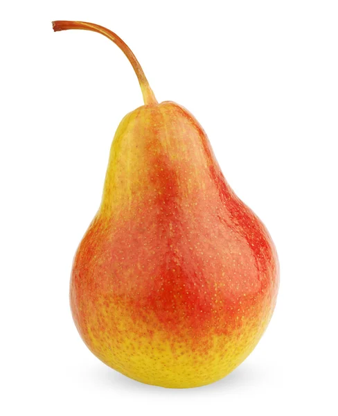 Mogen röd-gul pear frukt — Stockfoto