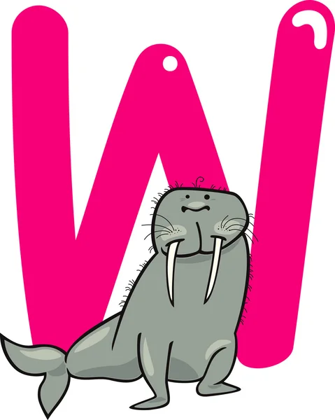 W for walrus — Stock Vector