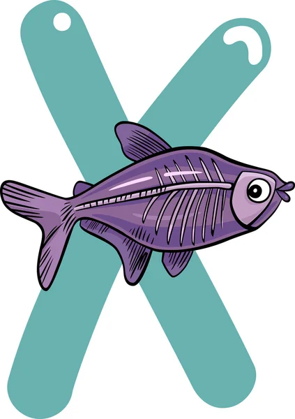 X για ψάρια ακτίνων χ — Διανυσματικό Αρχείο