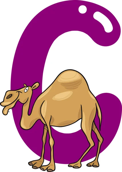 C for camel — Stock Vector