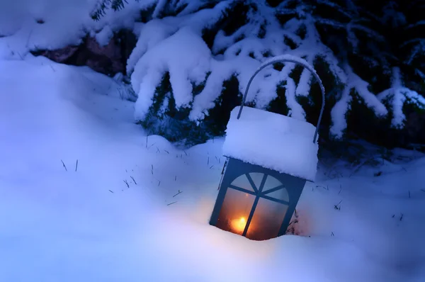 Свет в снегу — стоковое фото