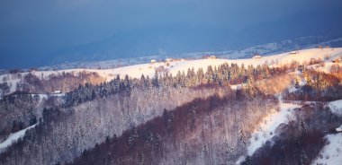 Braşov ilçesinde dağ manzarası