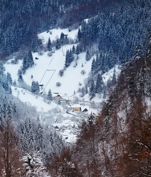 Wieś Moeciu zimą — Zdjęcie stockowe