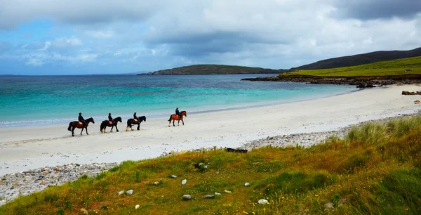 Cavalos e cavaleiros na praia — Fotografia de Stock