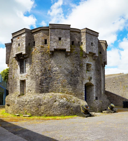 Замок Athlone — стокове фото