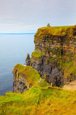 Moher Kayalıkları