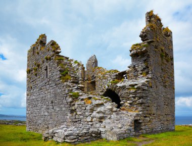 O'Brien Castle clipart