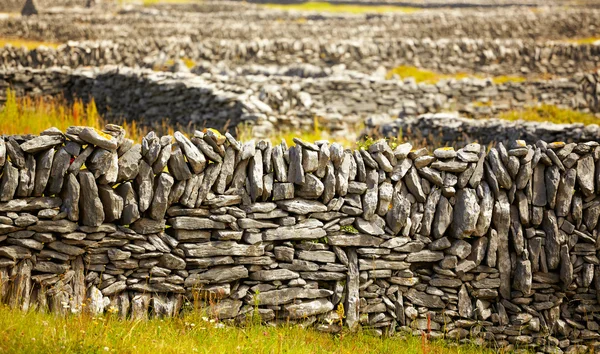 Ирландские заборы — стоковое фото