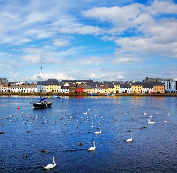 The Claddagh Galway — Stock Photo, Image
