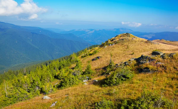 Montagne Tarcu — Foto Stock