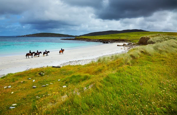 Лошади и всадники на пляже — стоковое фото