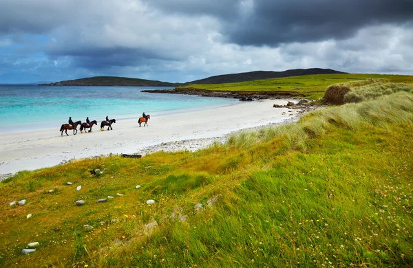 Caballos y jinetes en la playa — Foto de Stock