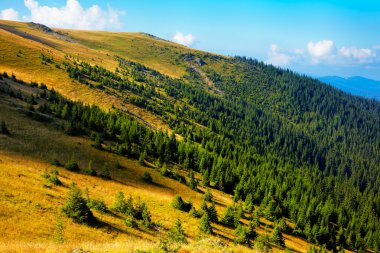 Tarcu Mountains clipart