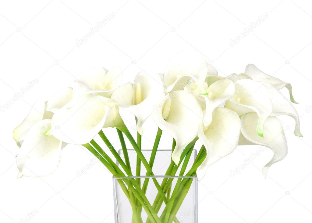 Bouquet of calla lilies in a glass vase