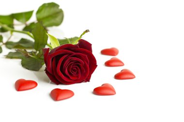 Valentine's Day rose. clipart