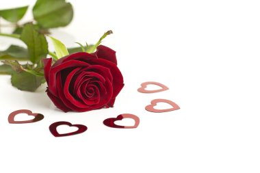 Valentine's Day rose. clipart