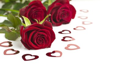 Valentine's Day rose. clipart