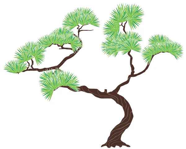 Zelený strom borovice — Stockový vektor