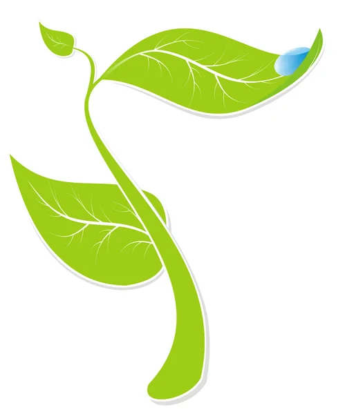 ドロップ水と緑の芽 — ストックベクタ
