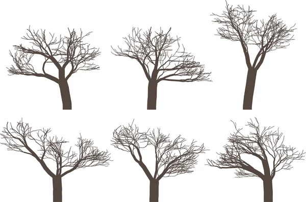 Зимние деревья — стоковый вектор
