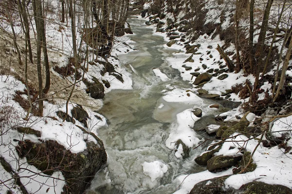 冬の川 6 — ストック写真