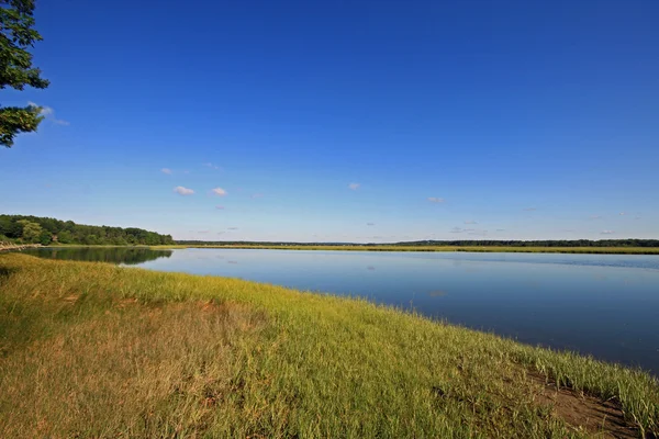 Calm marsh 2 — Stock Photo, Image
