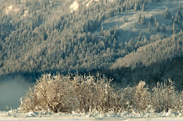 El valle de Chilkat bajo una cubierta de nieve — Foto de Stock