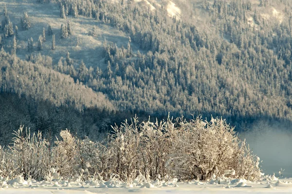 Chilkat dalen under en beläggning av snö — Stockfoto
