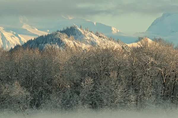 Das chilkat-Tal unter der Schneedecke — Stockfoto