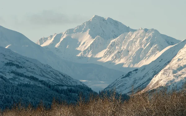 De vallei van de chilkat onder een dekking van sneeuw — Stockfoto