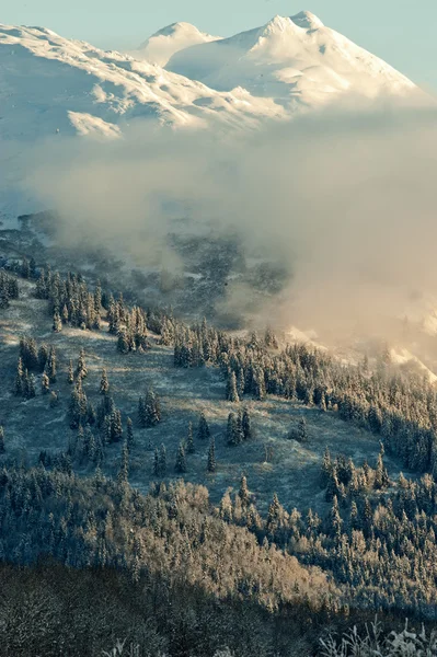 O Vale de Chilkat abaixo de uma cobertura de neve — Fotografia de Stock
