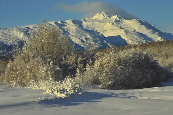 La valle di Chilkat sotto una copertura di neve — Foto Stock