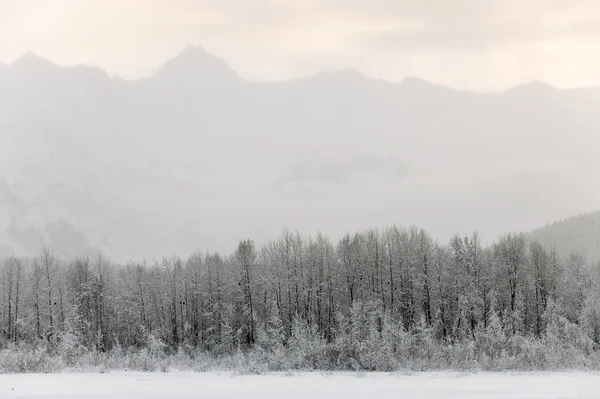 Гора в снегу на закате — стоковое фото