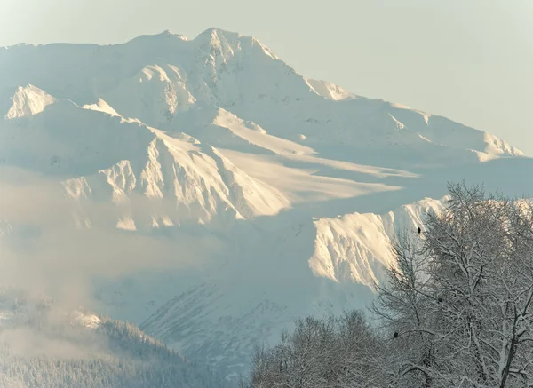 Montañas en Alaska — Foto de Stock