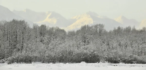 Góry w śniegu na zachód słońca — Zdjęcie stockowe
