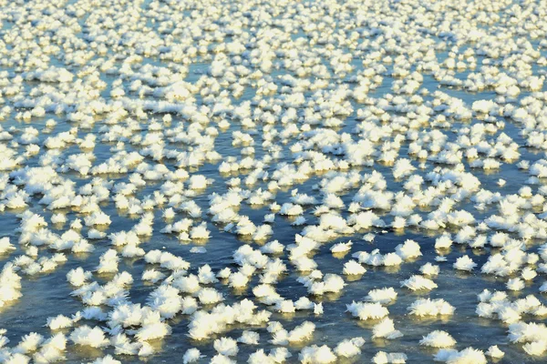 Cristalli di ghiaccio su una superficie di ghiaccio . — Foto Stock
