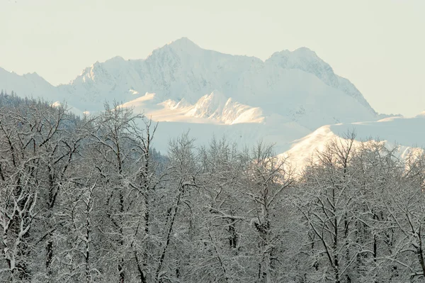 Montagne in Alaska — Foto Stock