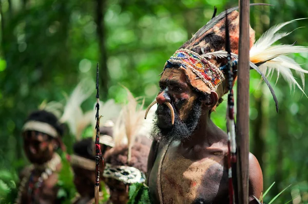 Лидер папуасского племени Яфи — стоковое фото