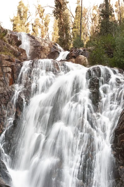 Водопад Стивенсон в долине Ярра, недалеко от Мельбурна — стоковое фото